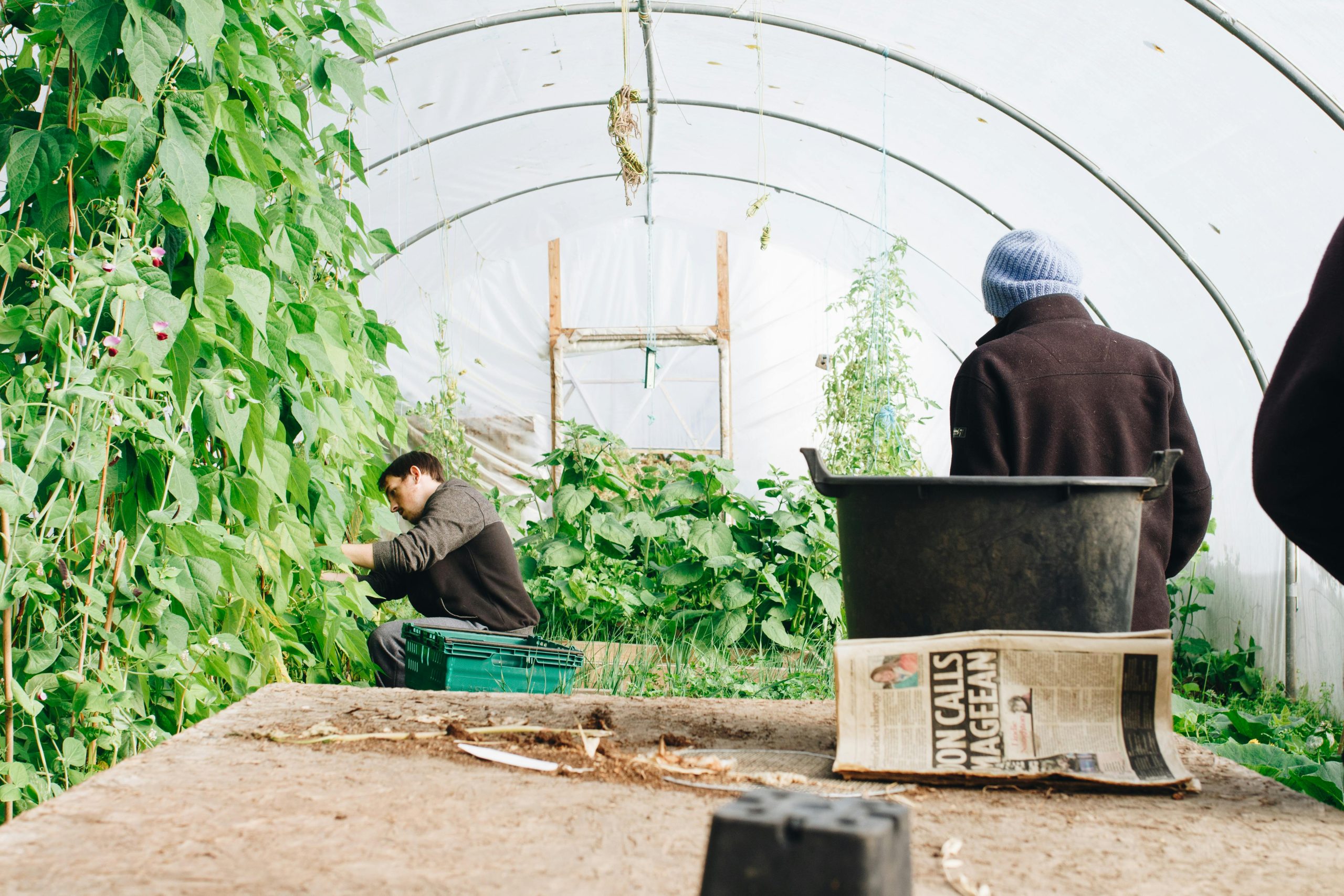 Farmers preparing for Spring Equinox